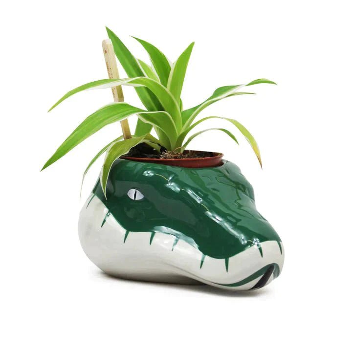 Harry Potter - Slytherin - Plant Pot - darkling.be