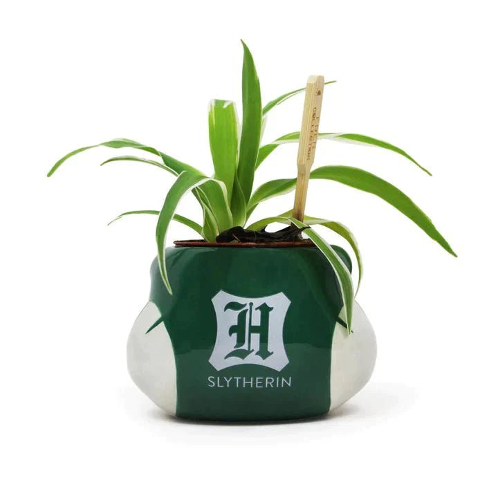 Harry Potter - Slytherin - Plant Pot - darkling.be