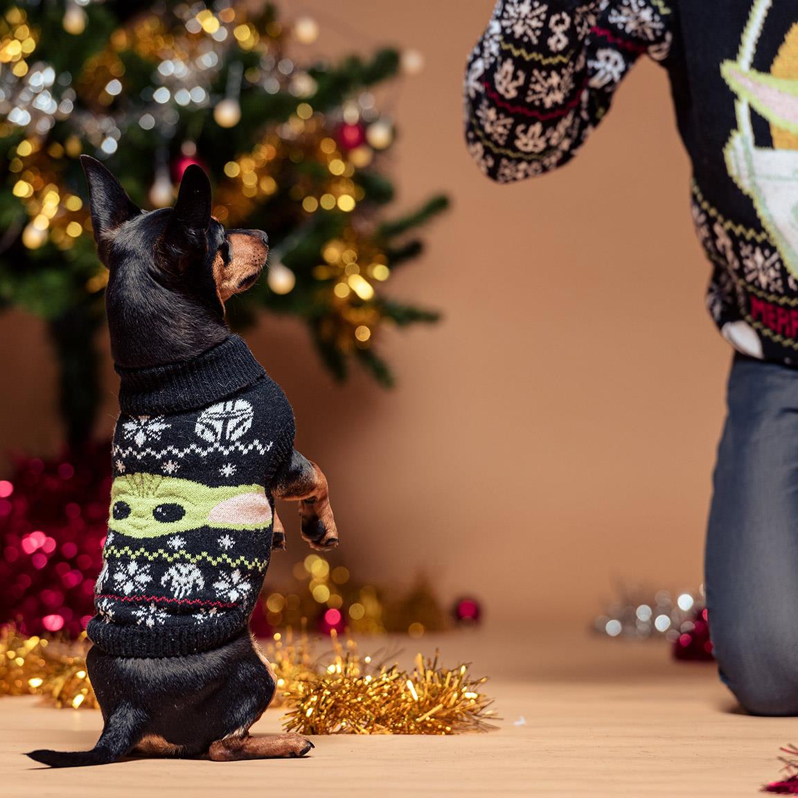 Star Wars - The Mandalorian Knitted Dog Sweater Grogu - darkling.be