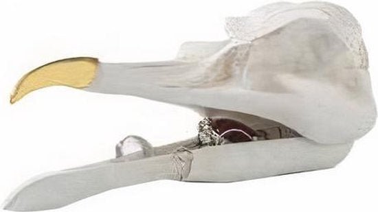 Bird Skull Jewellery Keeper - darkling.be