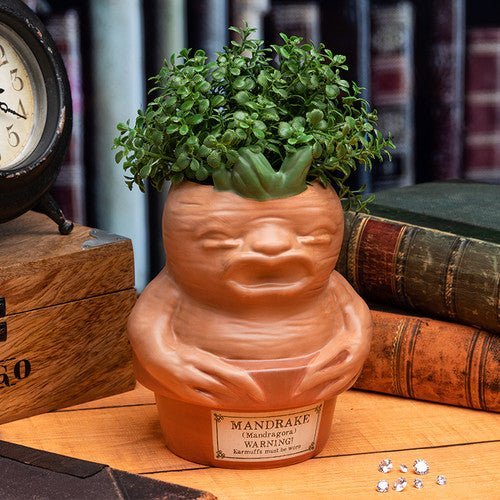 Harry Potter - Mandrake-Shaped Plant and Pen Pot - darkling.be