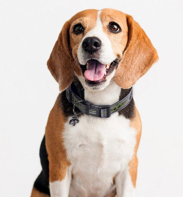 Star Wars - The Mandalorian Dog Collar 'The Child' - darkling.be